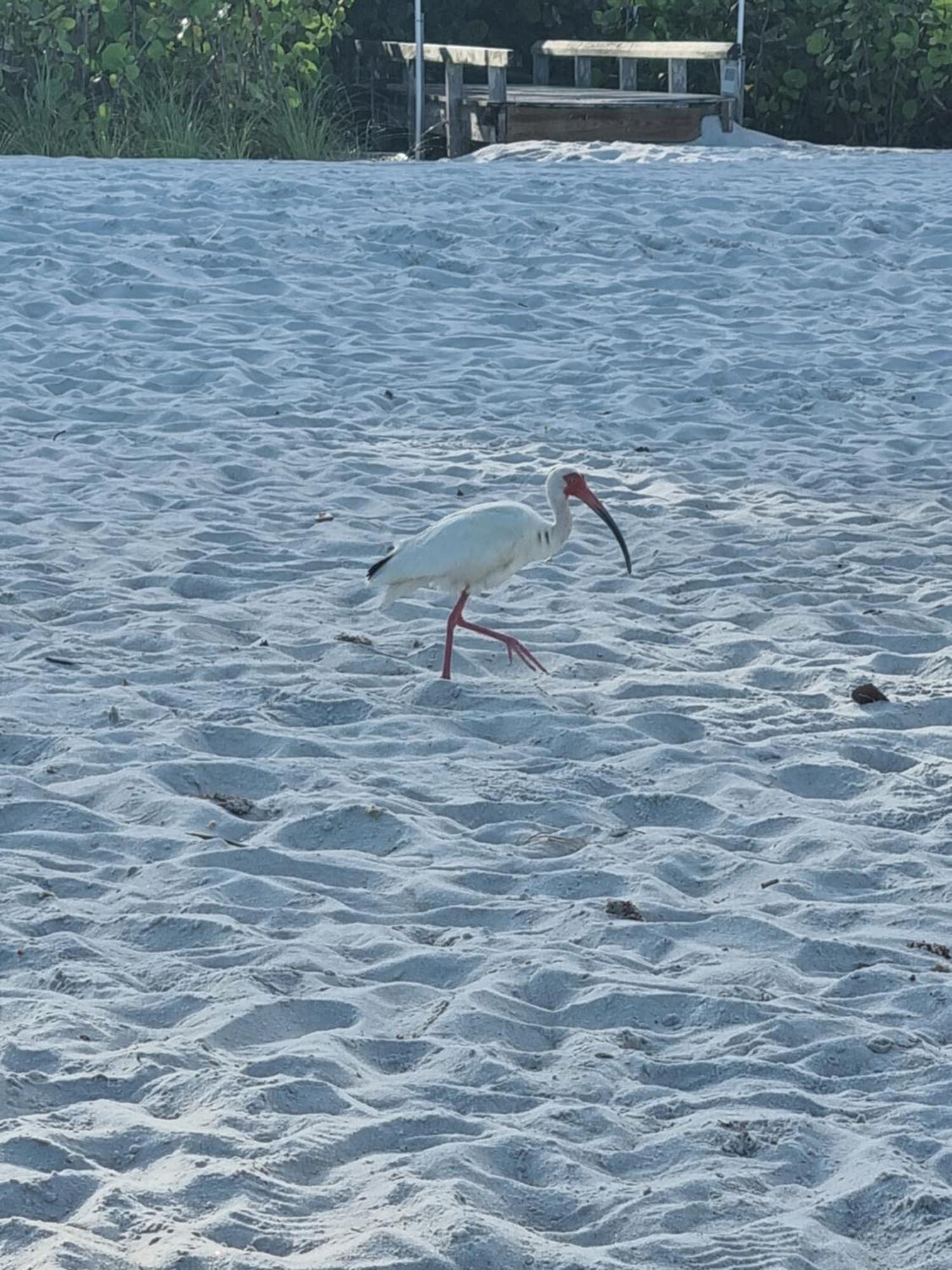 Stunning 2-Bedroom Plus Den Condo In Greenlinks Resort North North Naples エクステリア 写真
